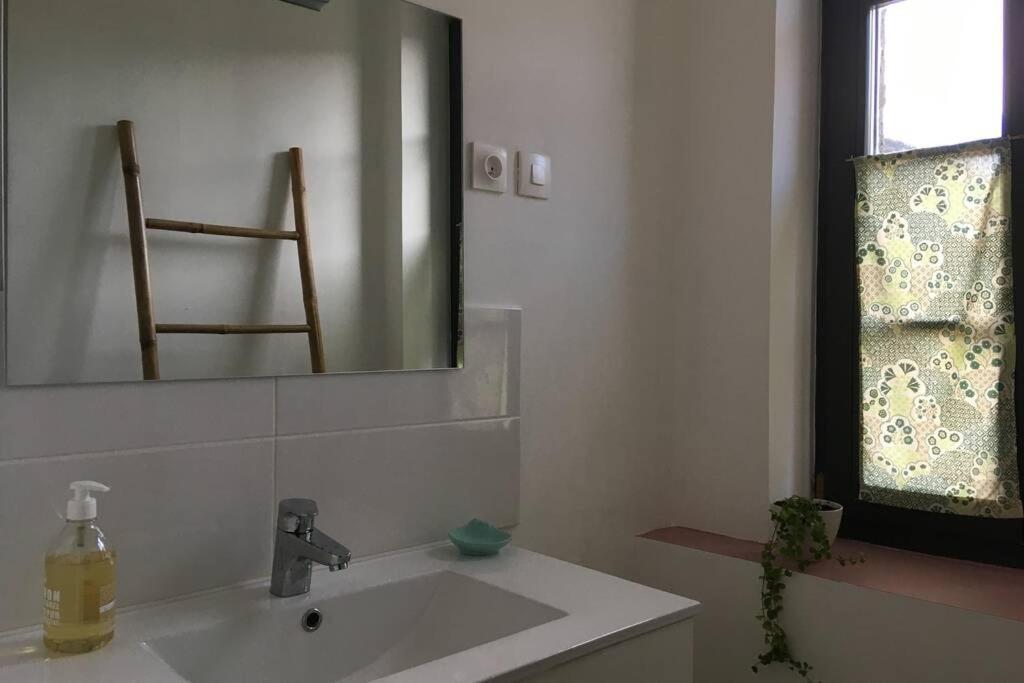 Appartement De 75 M2 Dans Maison Familiale Saint-Antonin-Noble-Val Εξωτερικό φωτογραφία